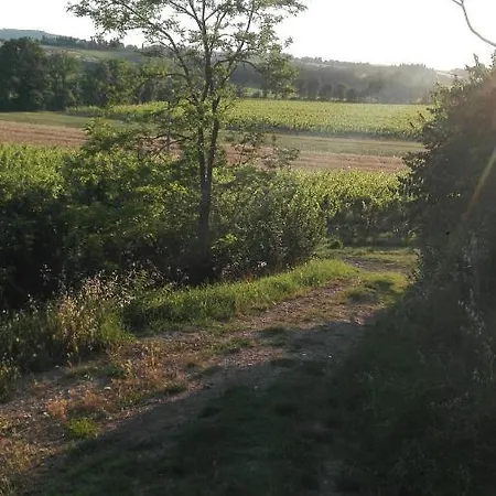 Séjour à la ferme La Chiesina *