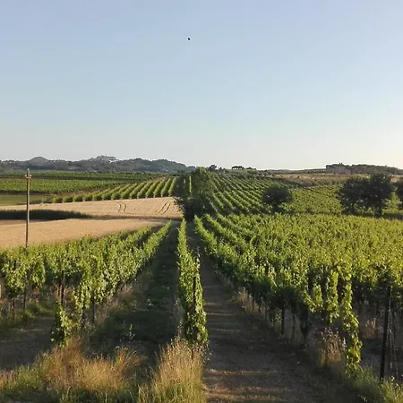 Séjour à la ferme La Chiesina